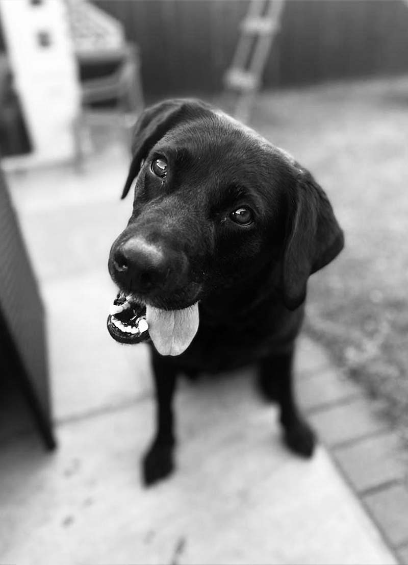 Rosie